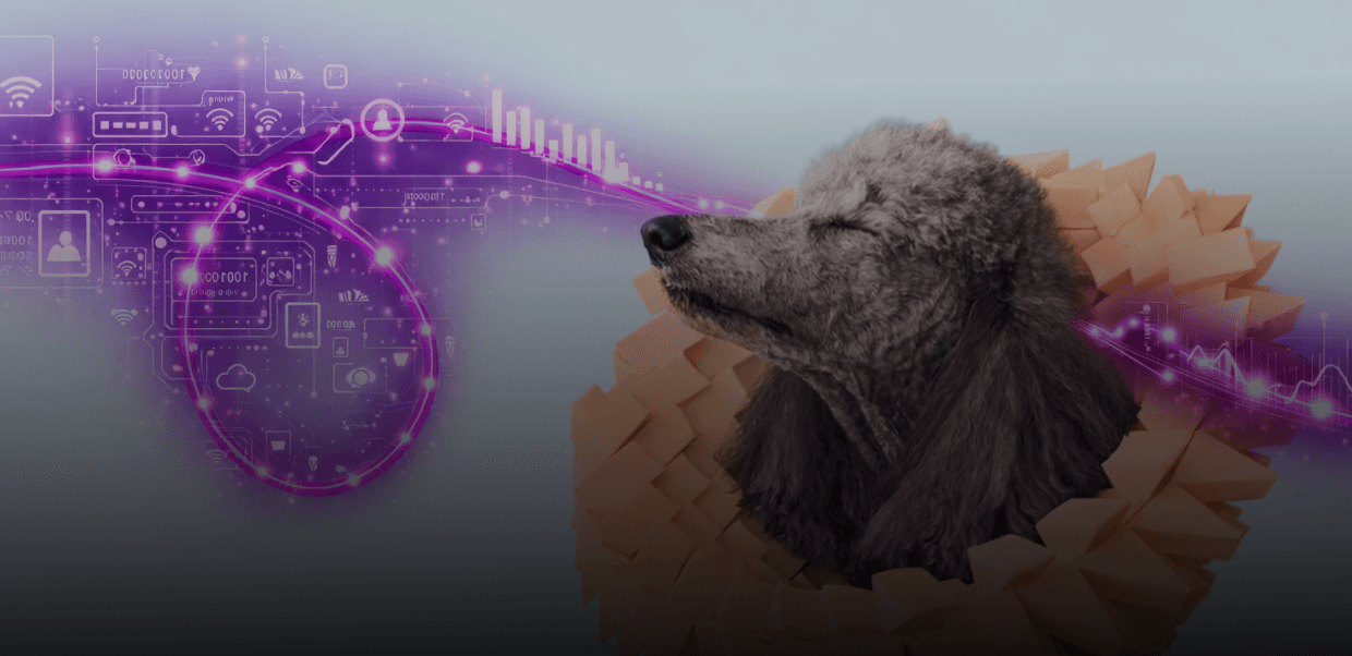 Omnichannel Pet Retailer